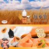 LEON 小煙油